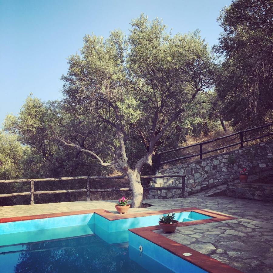 Villa Valia: Traditional Luxurious Residence Pyrgadikia Bagian luar foto